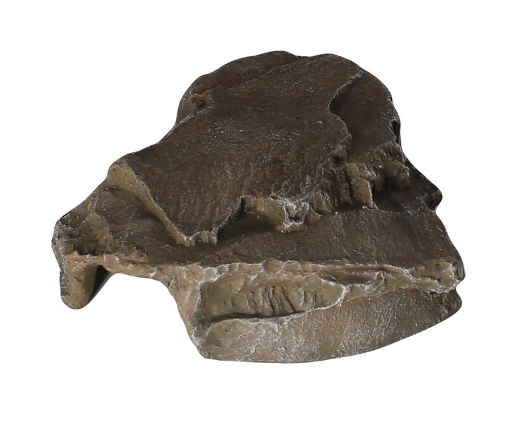 Reptile Rock Hide - Small Cave