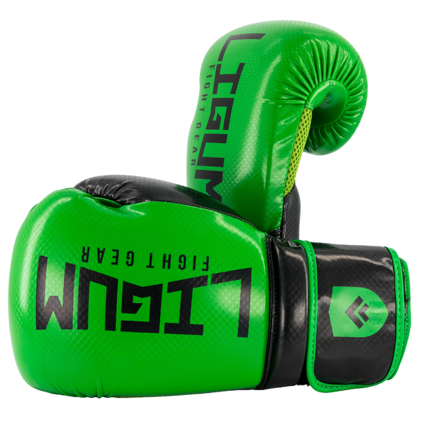 Hasta Boxing Gloves - Ligum Fight Gear