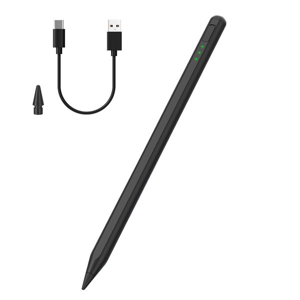 Palm Rejection Stylus Pen Compatible with iPad (2018-2024), Type-C