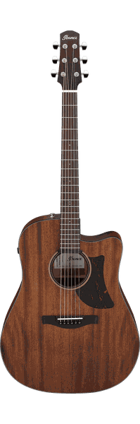 Ibanez AAD190CE Advanced Acoustic-Electric guitar