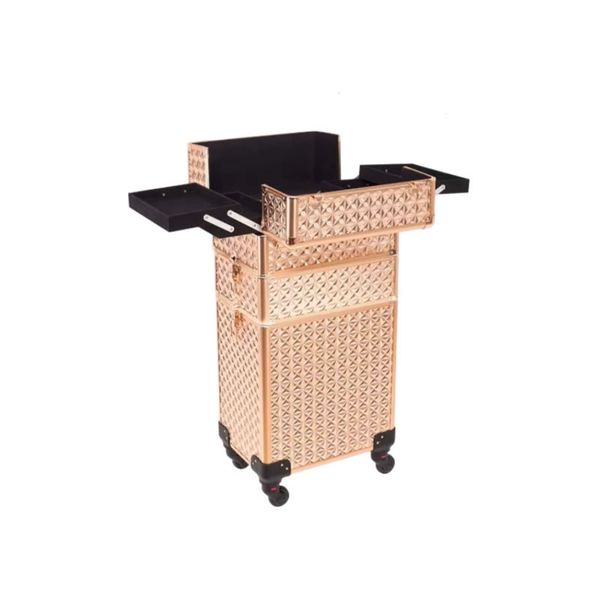 Professional 3-in-1 Aluminium 4-Wheel Rolling Makeup Organizer Suitcase
