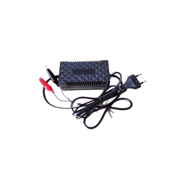 12v 2a Intelligent Pulse Charger