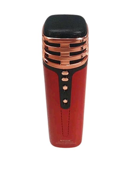 Karaoke Wireless Microphone Q-L838