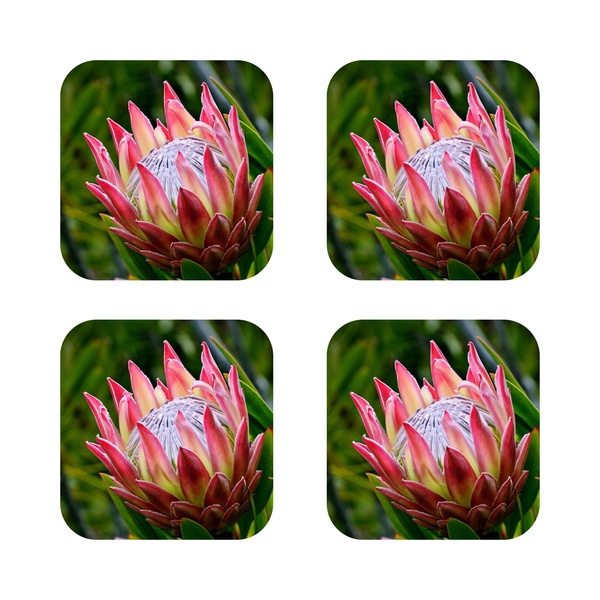 Custom Printed Green Protea wooden Coasters