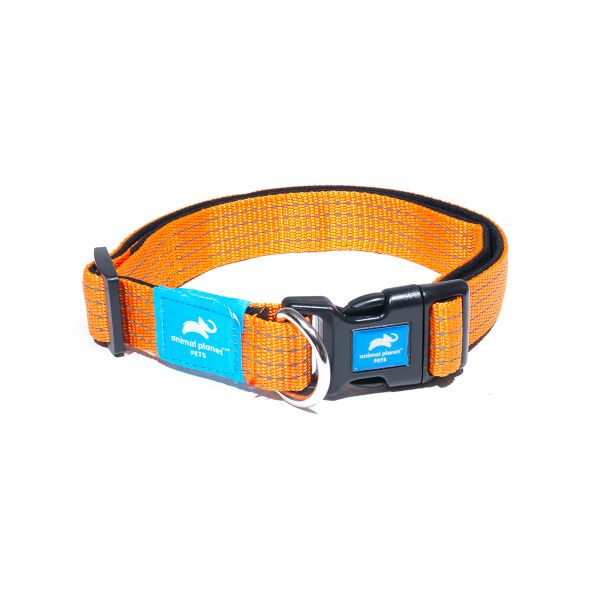 Animal Planet Premium Padded Collar - Orange