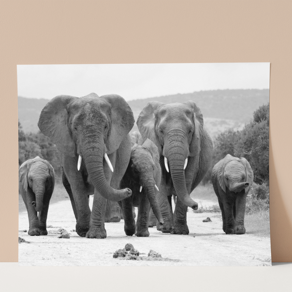 Heard of Elephants Wall Print