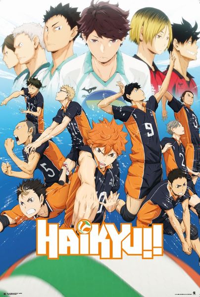 Haikyu!! - Karasuno Team Poster