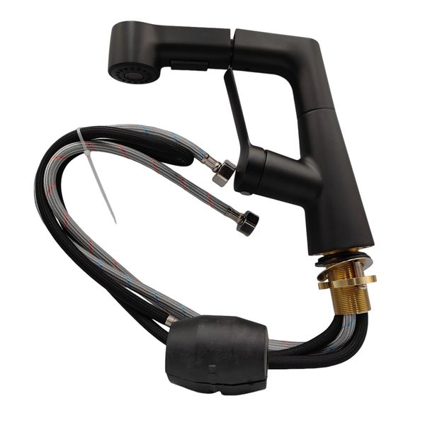 Black Matte Pull-Out Hot and Cold Water Faucet (Draw-Type with Hoses)