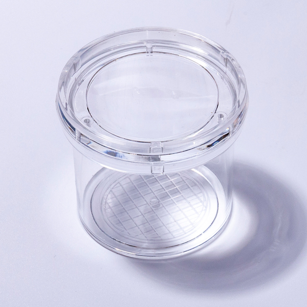 Greenbean - Magnifying Bug Viewer - Insect Exploration STEM Toy