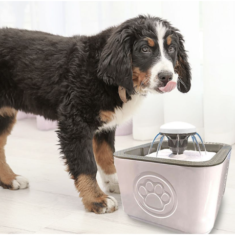 2.5L Dog Cat Automatic Pet Water Fountain White Shop Today. Get it Tomorrow takealot