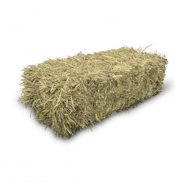 Premium Hay Bale - Natural Livestock Bedding