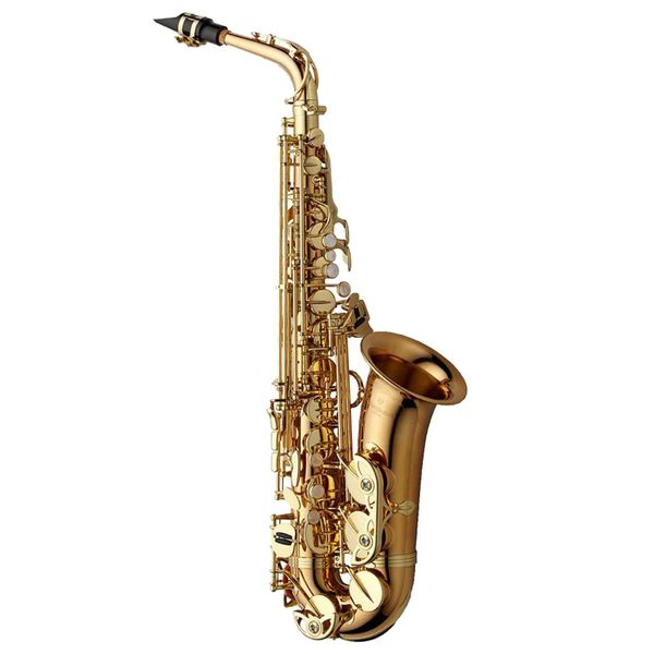 Yanagisawa AWO2 Professional Alto Saxophone - Bronze