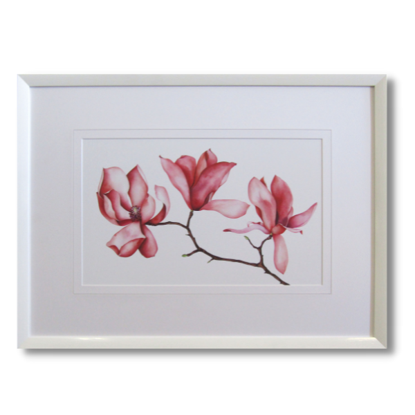 Framed Print - Magnolia Watercolour I - 800x600mm