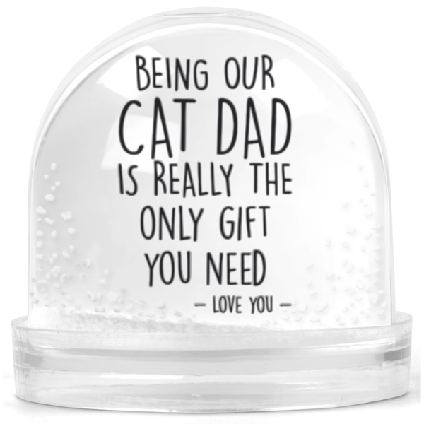 Being Our Cat Dad Is The Only Gift You Need Gift Snow Globe