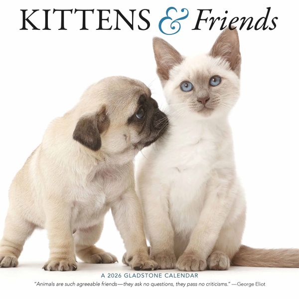 Kittens &amp; Friends with 4 Month Planner Page - 2026 Square Wall Calendar