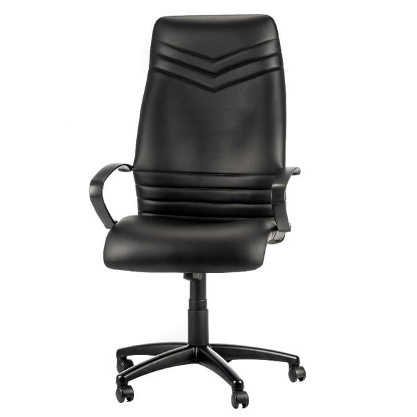 Falcon Executive Office Chair with Flexi arms