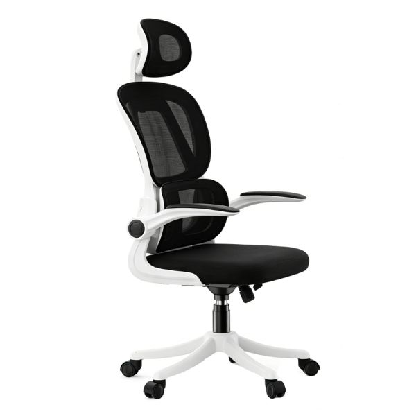 Ergonomic Home Office Desk Work Chair with Adjustable Lumbar Support
