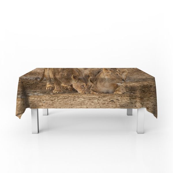 Lion Leeu Panthera Leo 11 By Fanie Heymans Rectangle Tablecloth