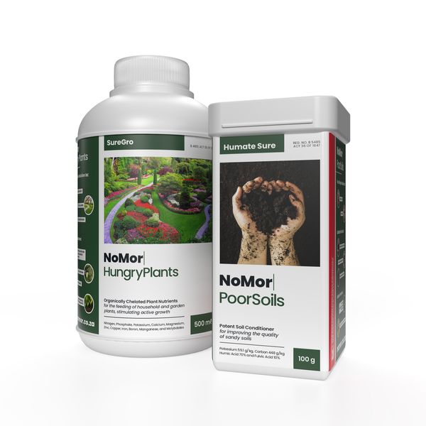 NoMor's Bloom Booster Bundle