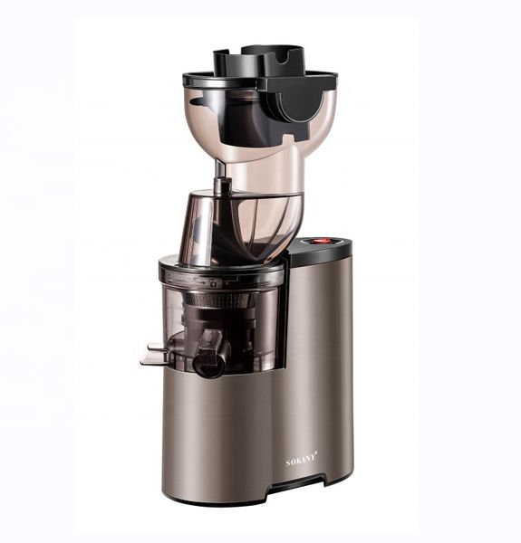 Electric Twin-Gear Slow Juicer Low Noise Juice Extractor
