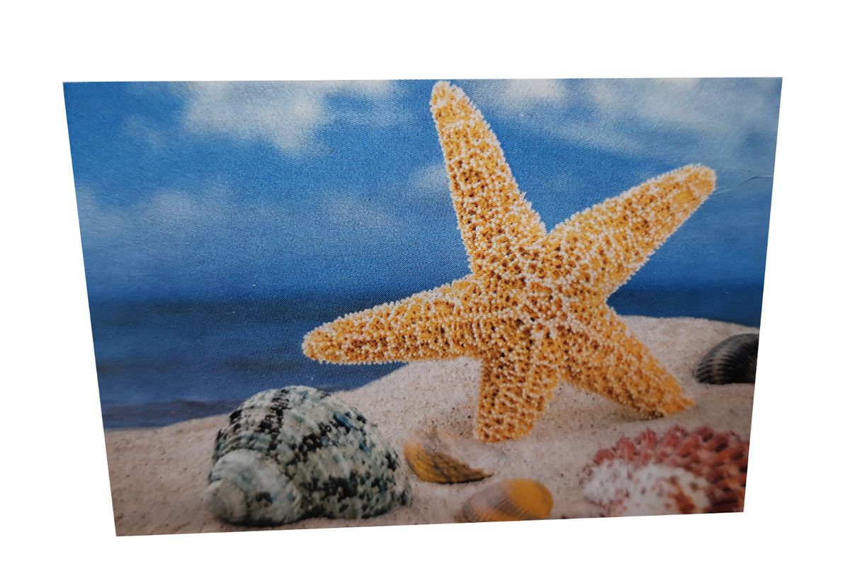 Diamond dot art painting 30x40 sea star gd76273 buy online in