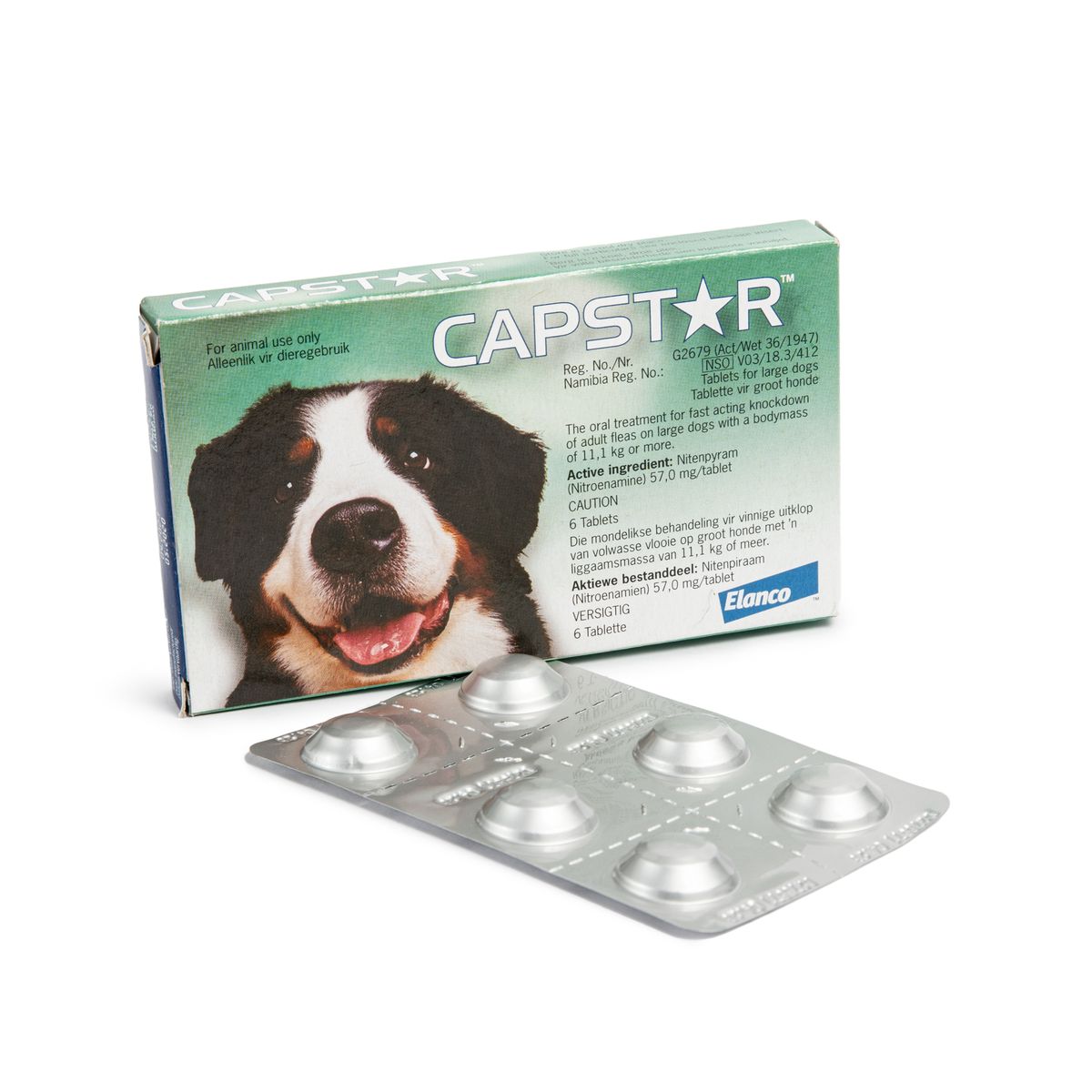 Capstar revolution hotsell for dogs