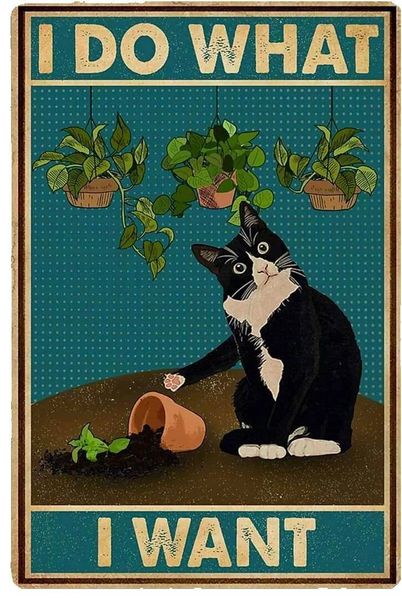 Black Cat Tin Sign "I Do What I Want", Cute Home Bathroom Decor
