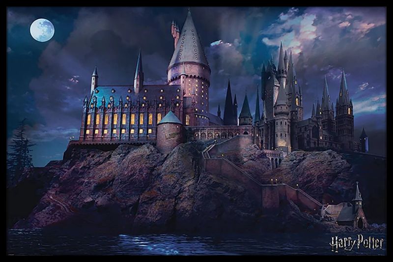Harry Potter (Wand Chooses The Wizard) Poster with Black Frame
