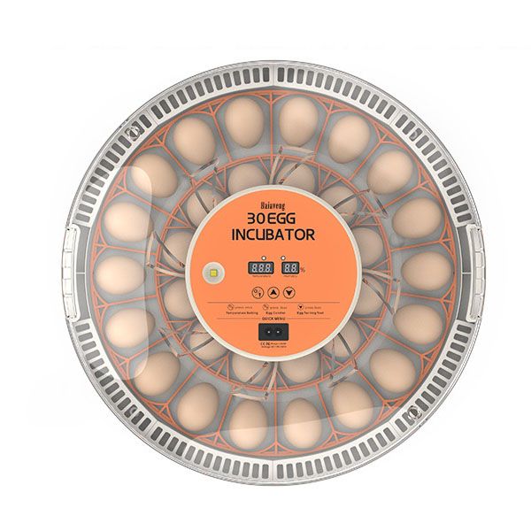 30 Egg Incubators for Hatching Eggs with Automatic Egg Turner 360 Viewing