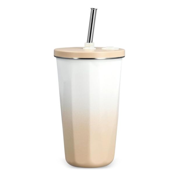 Stainless Steel Double Insulated with Straw-Pack of 2
