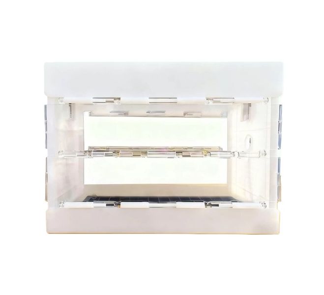 Parakeet Clear View Travel Box