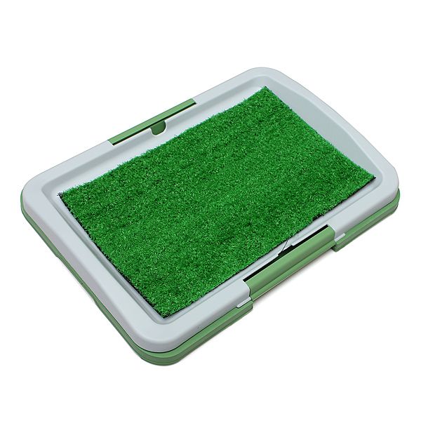 Express Puppy Dog Toilet Training KitPuppy Potty Pad Shop Today. Get