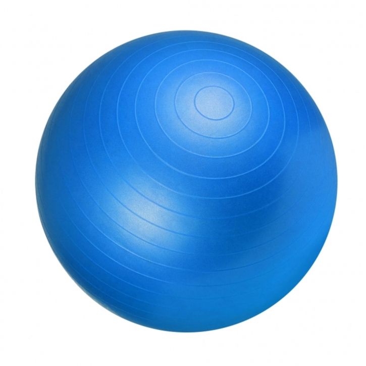 GORILLA SPORTS SA - Gym Ball Fitness Ball 65cm Blue | Buy Online in ...