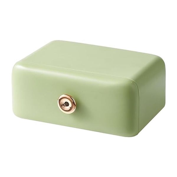 Portable Dustproof Large Capacity Storage Case