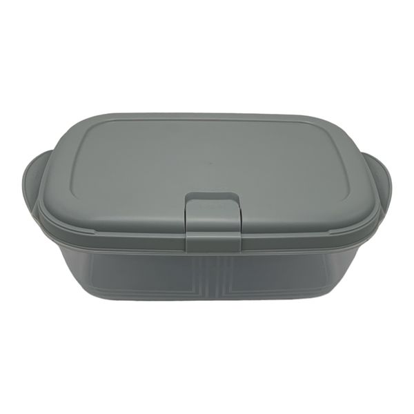BPA Free Container