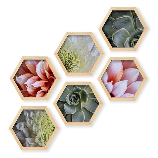 Cape Art Wall Art Pine Hex 6 Piece Collage - Soft Floral Set