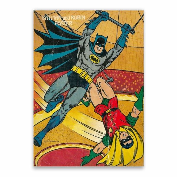 Batman And Robin Poster - A1