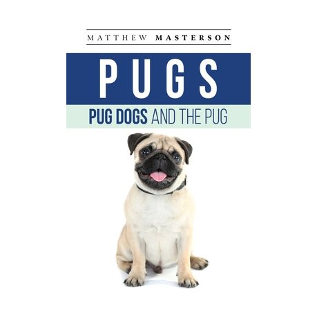 How Much Does A Pug Cost In South Africa