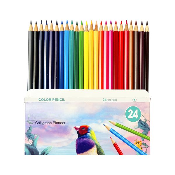 24 Piece - Vibrant Colouring Pencils - Multi Colour