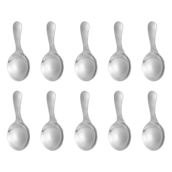 Stainless Steel Short Handle Spoons Mini Salt Spoons,Silver 10Piece