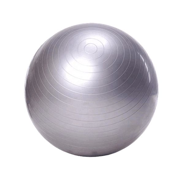 Exercise Ball / Yoga Ball - Silver