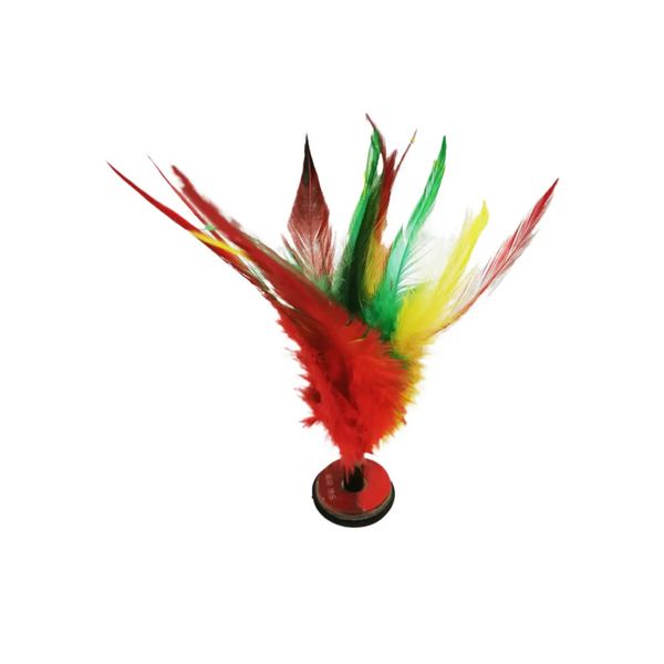 Chinese Kick Shuttlecock