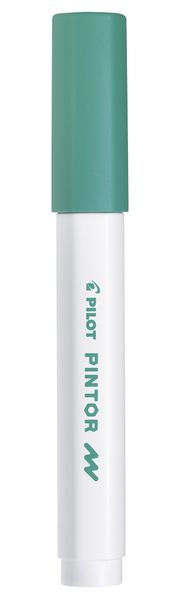 Pilot SW-PT Fine Point Pintor Paint Marker - Box of 6 - Green