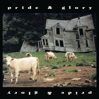 Pride &amp; Glory (Vinyl / 12" Album Picture Disc)