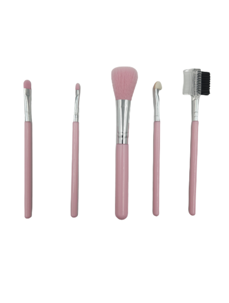 Makeup Brushes Set of 5 - Pink