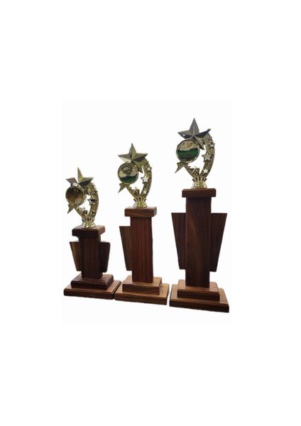 Kiaat Wooden Trophies (B208) OA - Set of 3