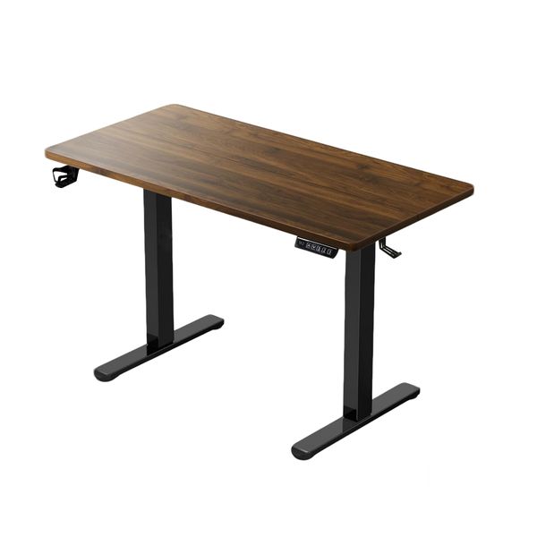 Electric Standing Desk - Height Adjustable Sit-Stand Office Desk (120x60cm)
