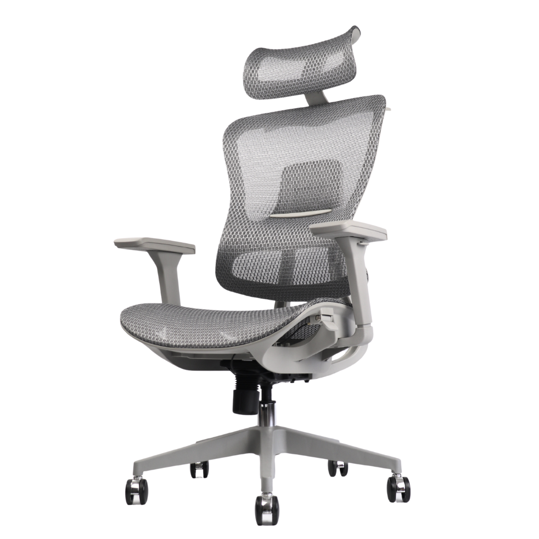 Chi Executive Ergonomic Office Chair - Gravity