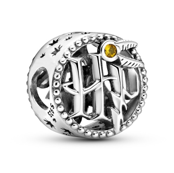 Harry Potter Round Charm