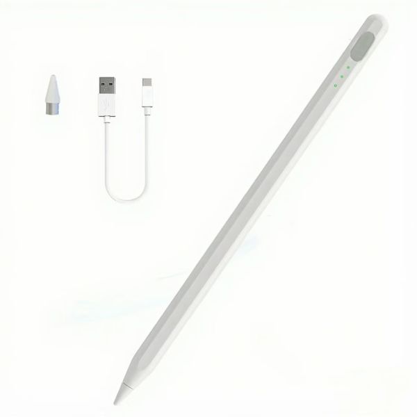 Universal Magnetic Palm Rejection Stylus Pen - Type-C Charging